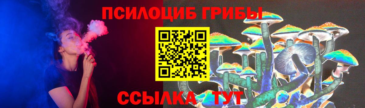 Полысаево  Псилоцибиновые грибы Psilocybine cubensis  Галлюциногенные грибы мицелий  Вход с VPN 